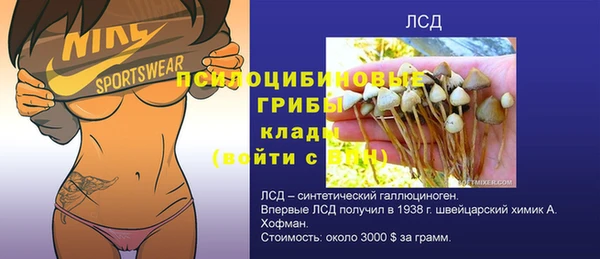 a pvp Алексеевка
