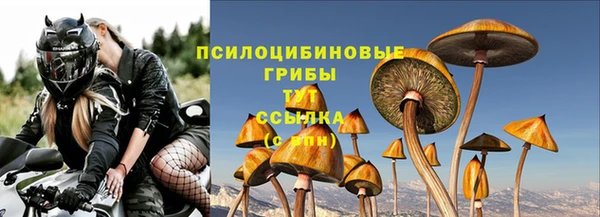 a pvp Алексеевка