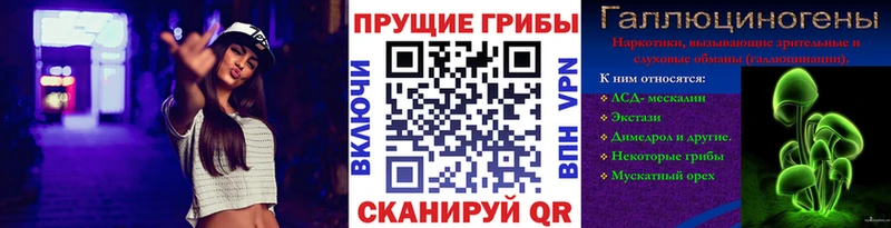 где купить   Княгинино  Галлюциногенные грибы Psilocybe 